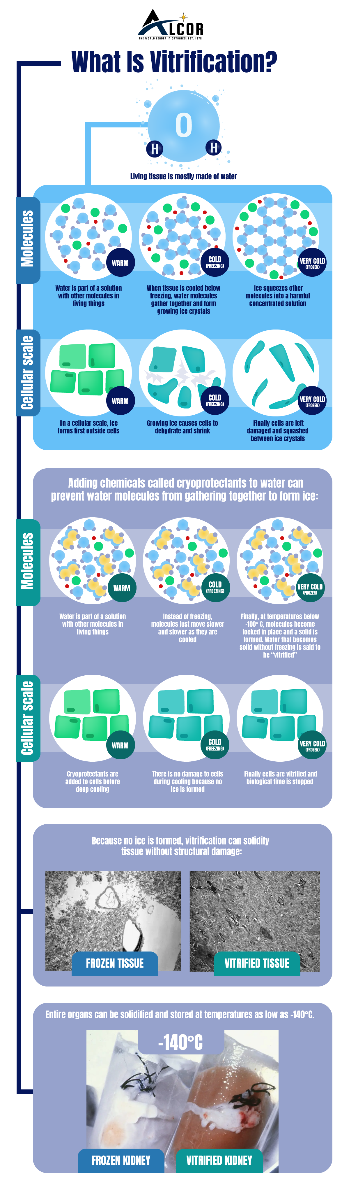 What is vitrification? Alcor Life Extension Foundation